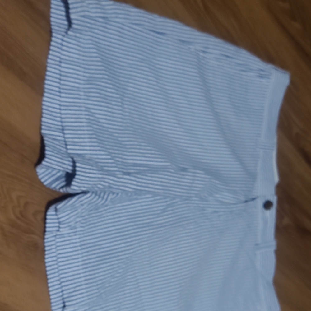 J. Crew Men's Blue and White Striped Shorts
